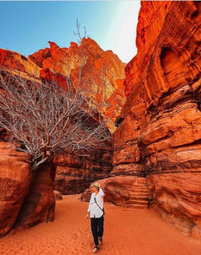 Saleem With Jeep Tour Lejlighed Wadi Rum Eksteriør billede