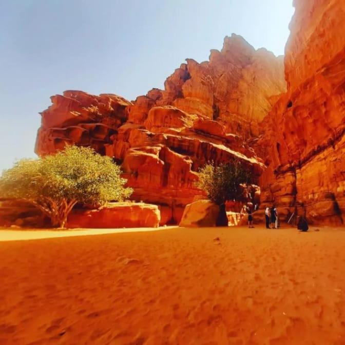 Saleem With Jeep Tour Lejlighed Wadi Rum Eksteriør billede